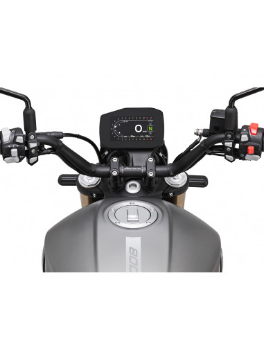 BENELLI LEONCINO 800 MARRÓN