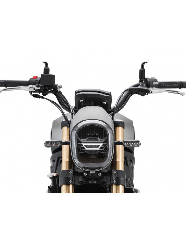 BENELLI LEONCINO 800 MARRÓN