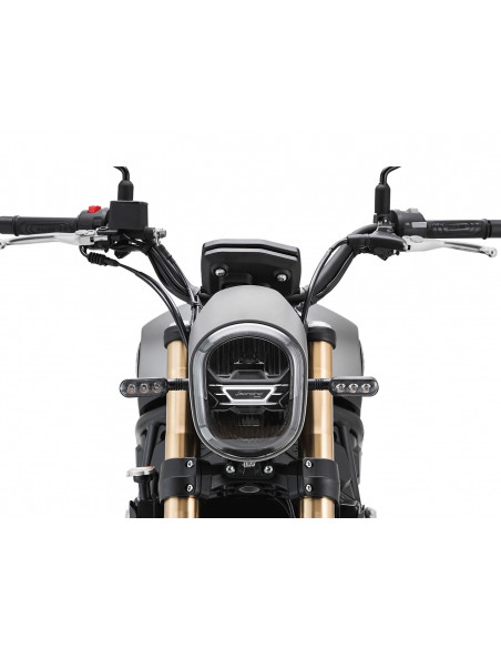 BENELLI LEONCINO 800 MARRÓN