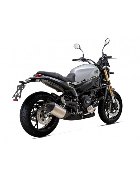 BENELLI LEONCINO 800 GRIS