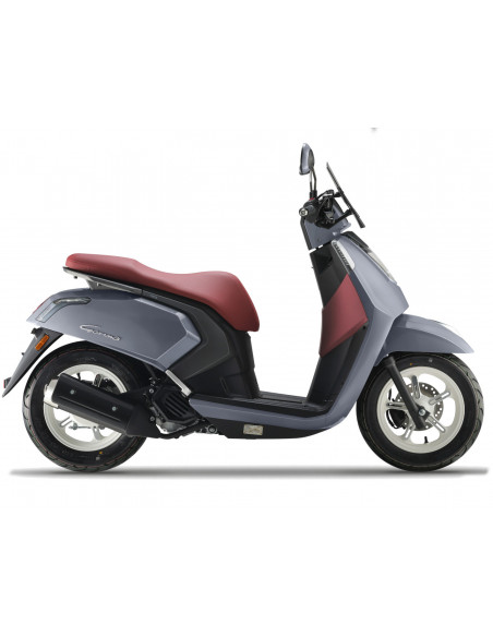 ARIIC GEMMA 118 MORADO