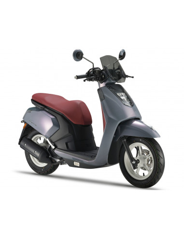 ARIIC GEMMA 118 MORADO