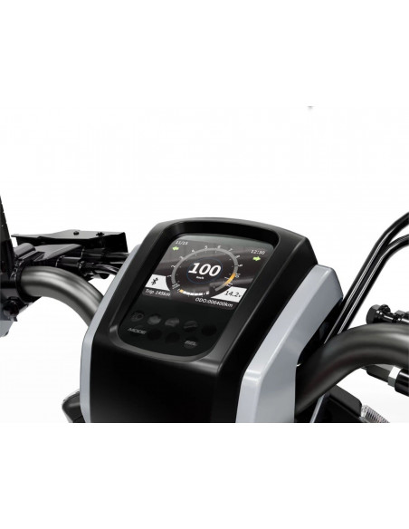 ARIIC GEMMA 118 GRIS