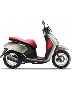 ARIIC GEMMA 118 GRIS