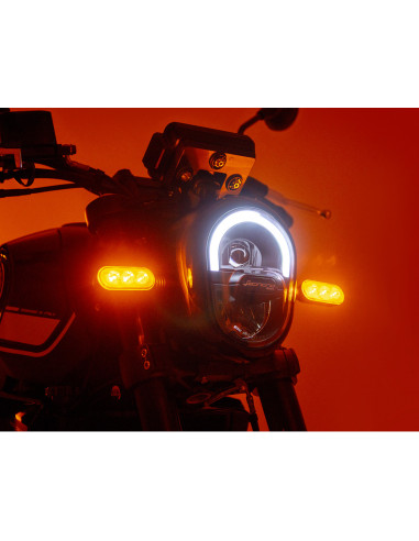 BENELLI LEONCINO 250 ROJA