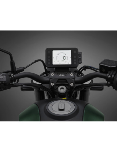 BENELLI LEONCINO 250 ROJA