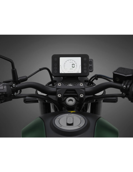 BENELLI LEONCINO 250 GRIS